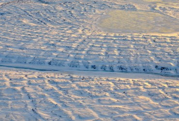 Науковцям вдалося реанімувати черв'яків віком 46 тисяч років