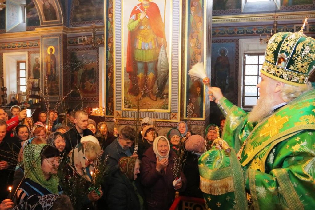 Вербна неділя у Кропивницького / orthodox-kr.org.ua