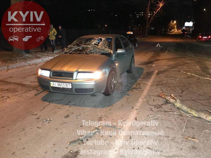 Ураган в Киеве повредил автомобили / kyivoperativ.info Ураган в Киеве повредил автомобили / kyivoperativ.info