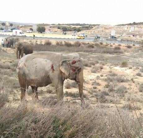 @PolicíaLocalAlbacete @PolicíaLocalAlbacete