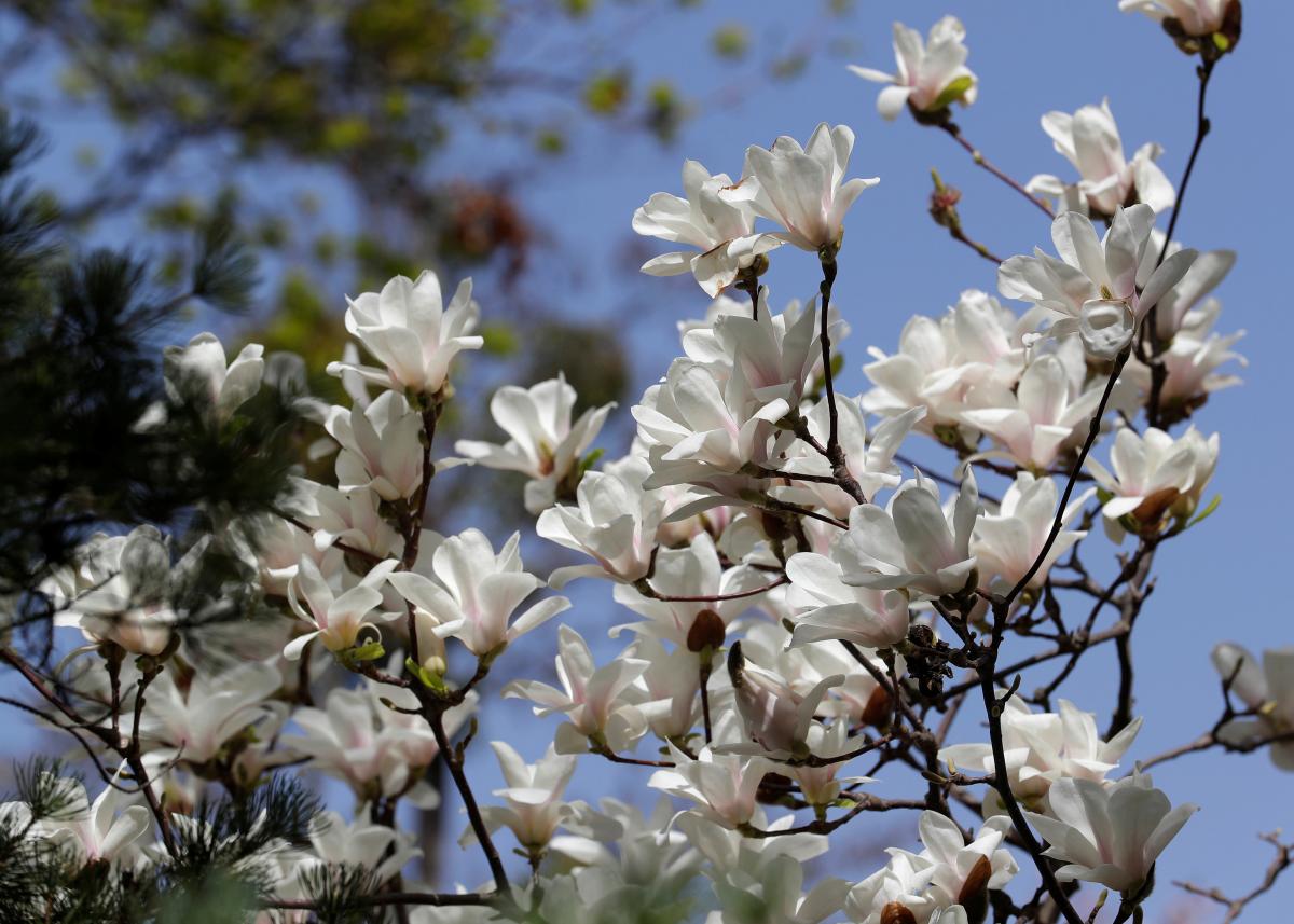 21 квітня в Києві очікується невелика хмарність / фото REUTERS