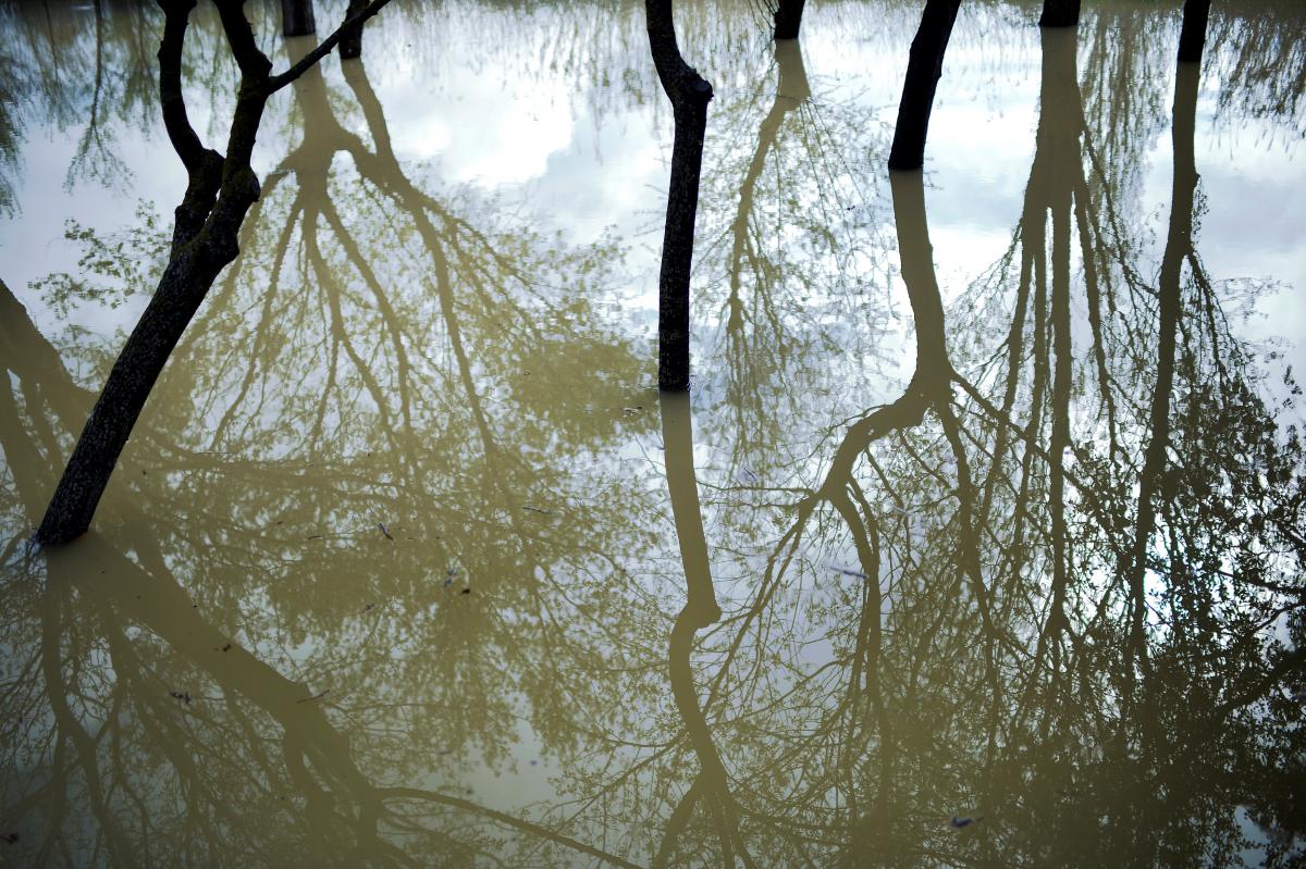 Иллюстрация / REUTERS