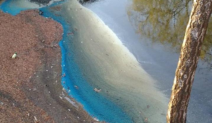 В тернопільському гідропарку вода в річці стала незвичного кольору / фото facebook.com/iryna.nebesna В тернопільському гідропарку вода в річці стала незвичного кольору / фото facebook.com/iryna.nebesna