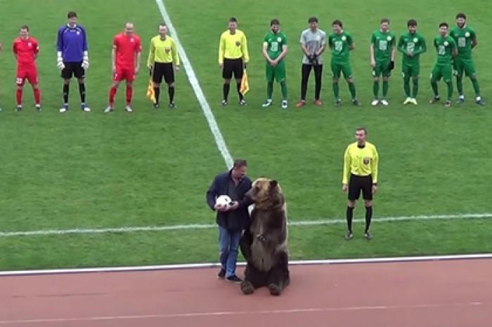 Ведмідь Тіма потренувався перед відкриттям ЧС-2018 на матчі ПФЛ / fc-angusht.ru/ Ведмідь Тіма потренувався перед відкриттям ЧС-2018 на матчі ПФЛ / fc-angusht.ru/