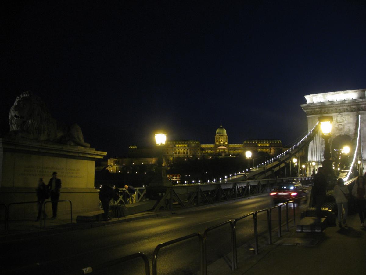Ночной Будапешт - Цепной мост / фото Марина Григоренко