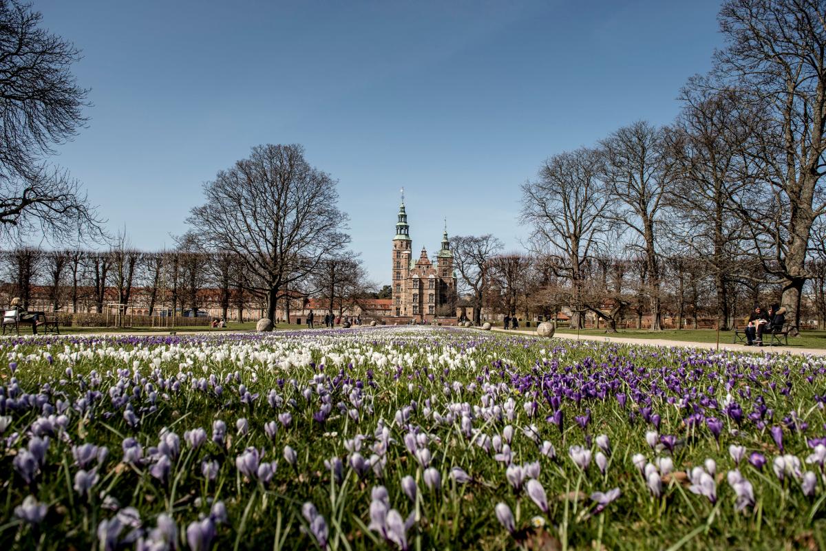 Данія стане доступнішою для українців / Ілюстрація REUTERS