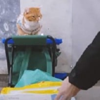В Беларуси нашли 