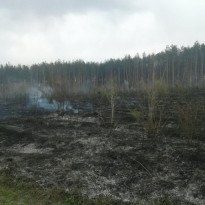 В течение суток в Харьковской области произошло 10 пожаров в экосистемах