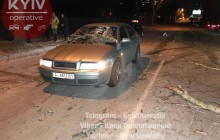 Нічний буревій повалив кілька дерев і металевий щит на автомобілі в Києві (відео)