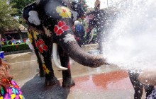 У Таїланді напередодні місцевого нового року влаштували фестиваль води зі слонами (фоторепортаж)