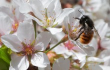 Синоптик розповіла, коли в Україні запанує літнє тепло до +27°