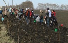 На Харьковщине высадили тысячу лип, берез и акаций (видео)
