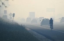 В Австралії пожежа знищила близько тисячі га лісу