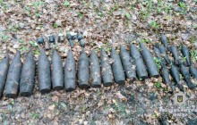 На Харківщині лісник виявив 70 боєприпасів часів Другої світової війни