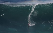 У Сан-Франциско влаштували змагання з серфінгу для собак (відео)