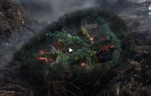 На Миколаївщині біля будинків спалили тонни старих вінків і хрестів з кладовища (відео)