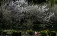 Прогноз погоди на 23 квітня: на всій території України сонячно та без дощу