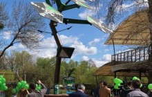 В Киеве установили смарт-дерево с Wi-Fi (фото)