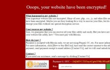 Ukraine energy ministry website hit by ransomware attack – media
