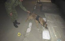 У Херсоні застрелили скандально відомого бізнесмена (відео)