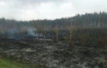 В течение суток в Харьковской области произошло 10 пожаров в экосистемах