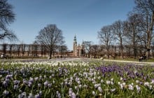 Авіакомпанія МАУ відновила регулярні рейси між Києвом і Копенгагеном