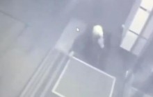 "Аладдин?": сеть рассмешило "преступление века" в Киеве (видео)