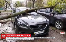У Харкові на автомобілі впало дерево і ледь не вбило чоловіка (відео)