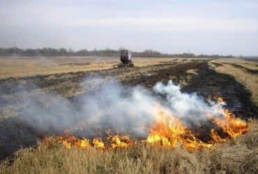 У Полтавській області паліїв сухої трави відправлять копати траншеї