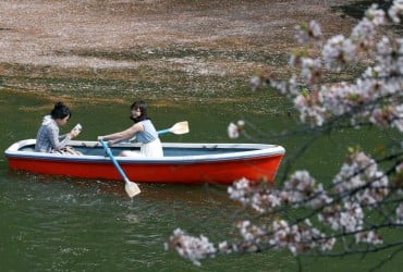 Названо найздоровіші країни світу