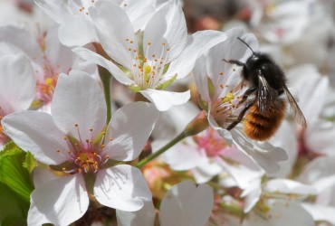 Известный синоптик рассказала, когда в Украине потеплеет