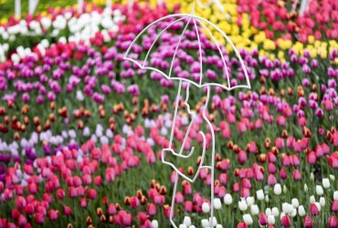 Яка погода чекає на киян у квітні: прогноз на місяць