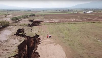 Агентство по лицензированию водителей и транспортных средств Великобритании работает эффективнее