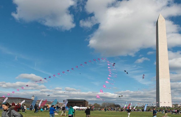 Весняний фестиваль: у небі над Вашингтоном запустили тисячі повітряних зміїв (відео)