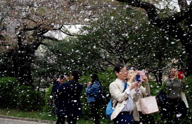 Япония предложит туристам электронные визы