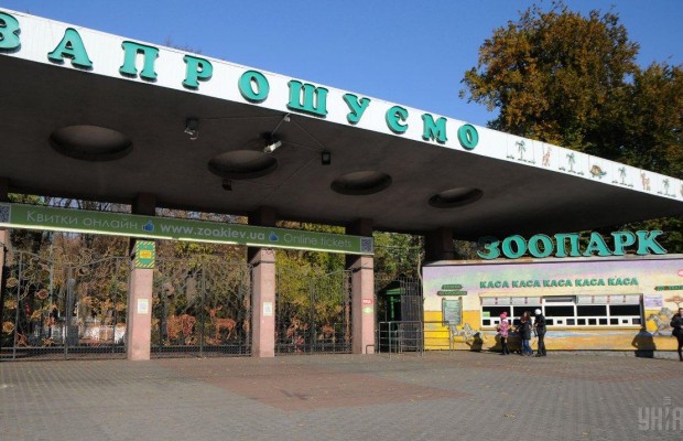 Нову вхідну групу київського зоопарку буде відкрито в липні