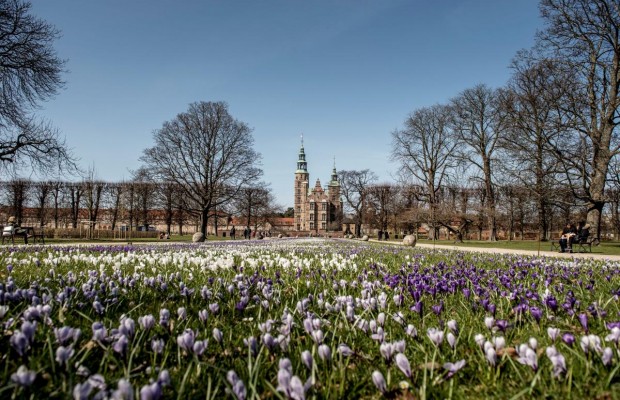Авіакомпанія МАУ відновила регулярні рейси між Києвом і Копенгагеном
