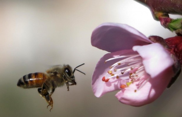 10 жовтня: звичаї і традиції, що категорично заборонено робити сьогодні