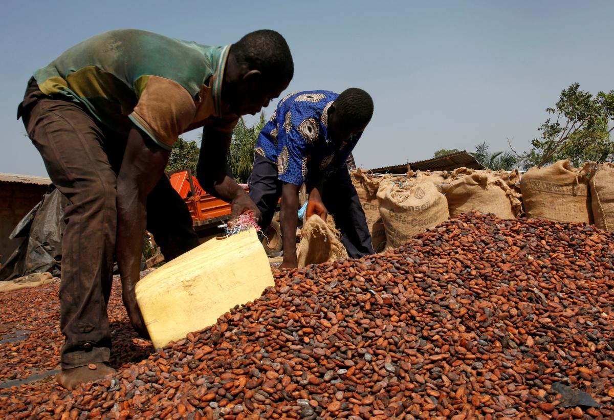 Иллюстрация / REUTERS