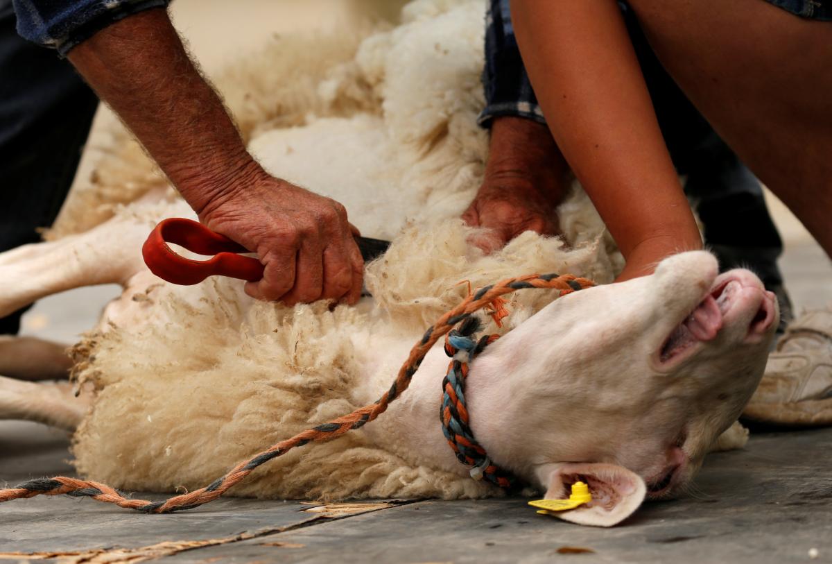 Ілюстрація / REUTERS