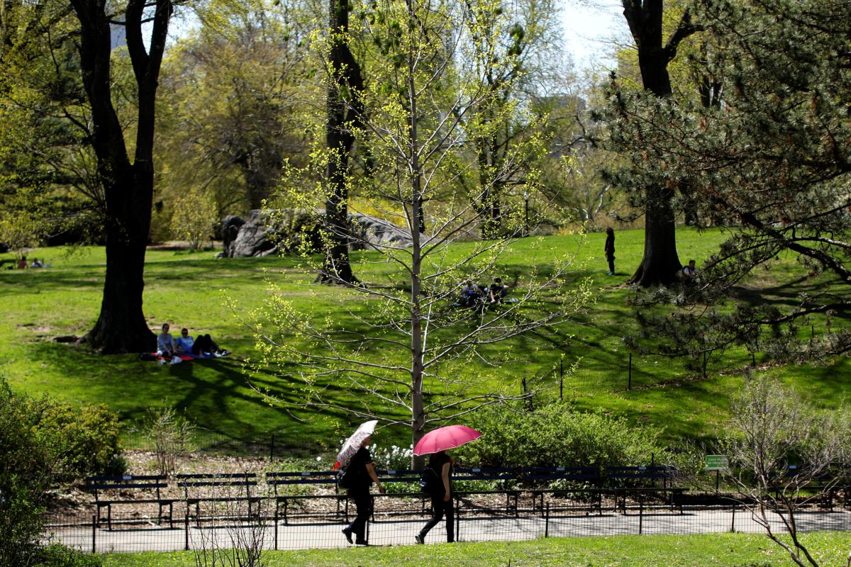 Центральный парк в Нью-Йорке назвали лучшим урбан-парком мира / фото REUTERS