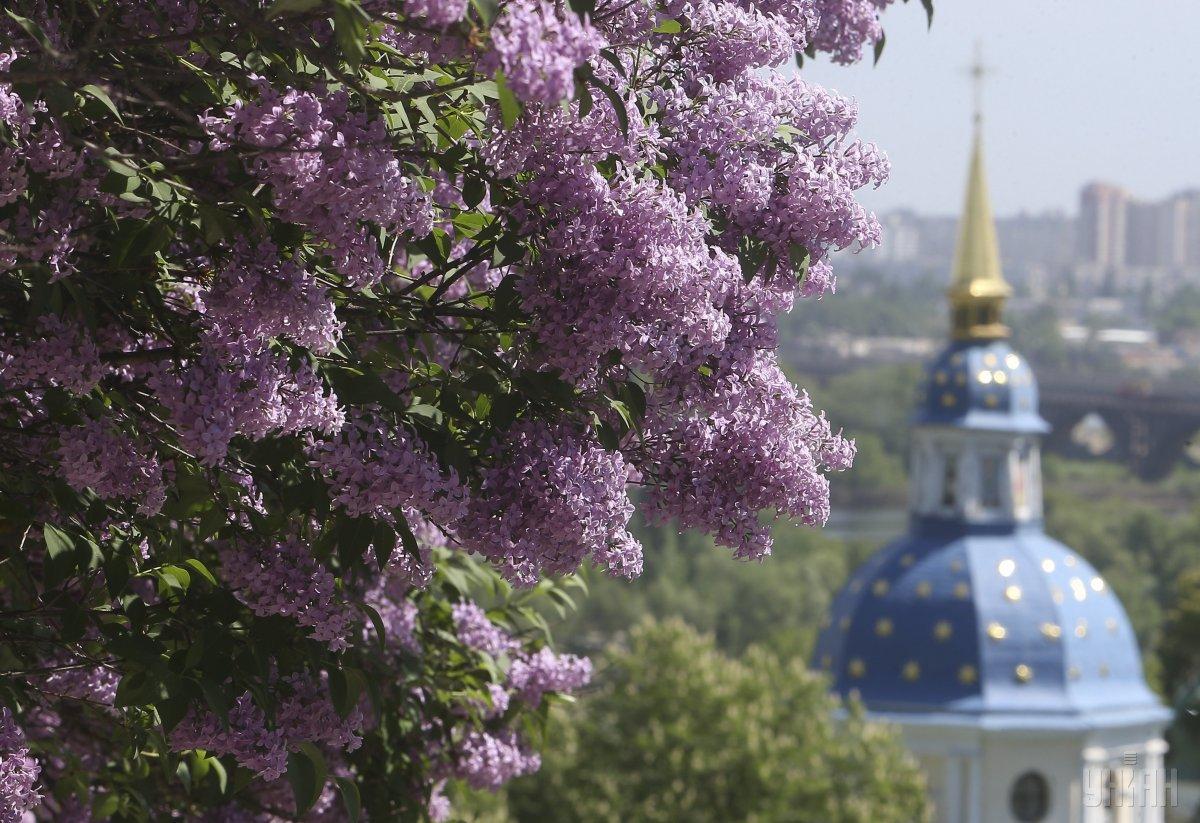 Незабаром у Києві стане тепліше / фото УНІАН