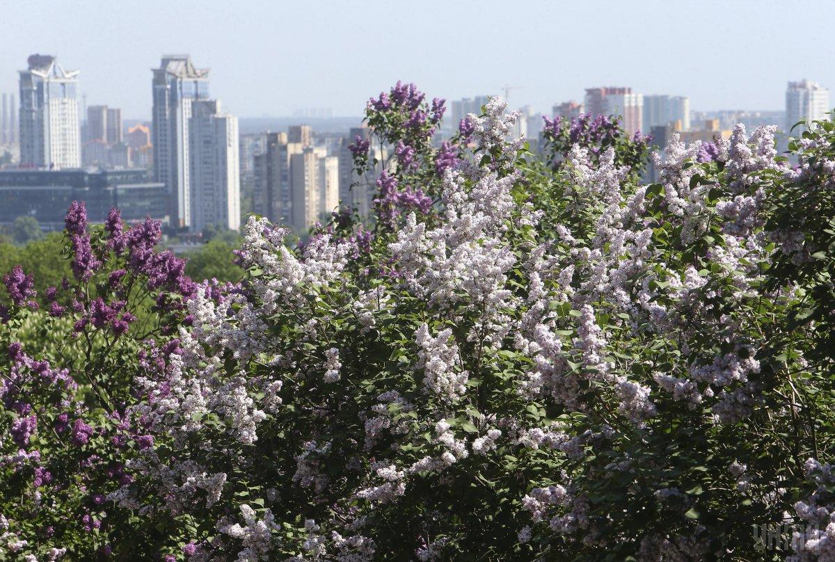 Сегодня в Киеве будет очень тепло / фото УНИАН