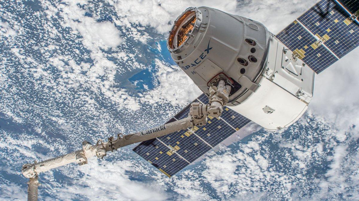 Dragon вернулся с МКС с ценным научным грузом / Twitter - SpaceX Dragon вернулся с МКС с ценным научным грузом / Twitter - SpaceX