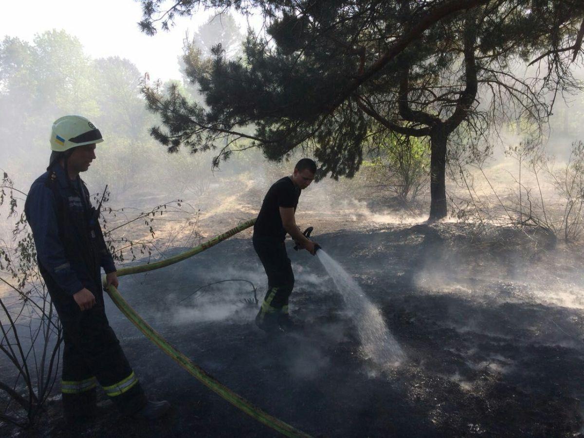 На трухановом острове произошел очередной пожар / фото dsns.gov.ua