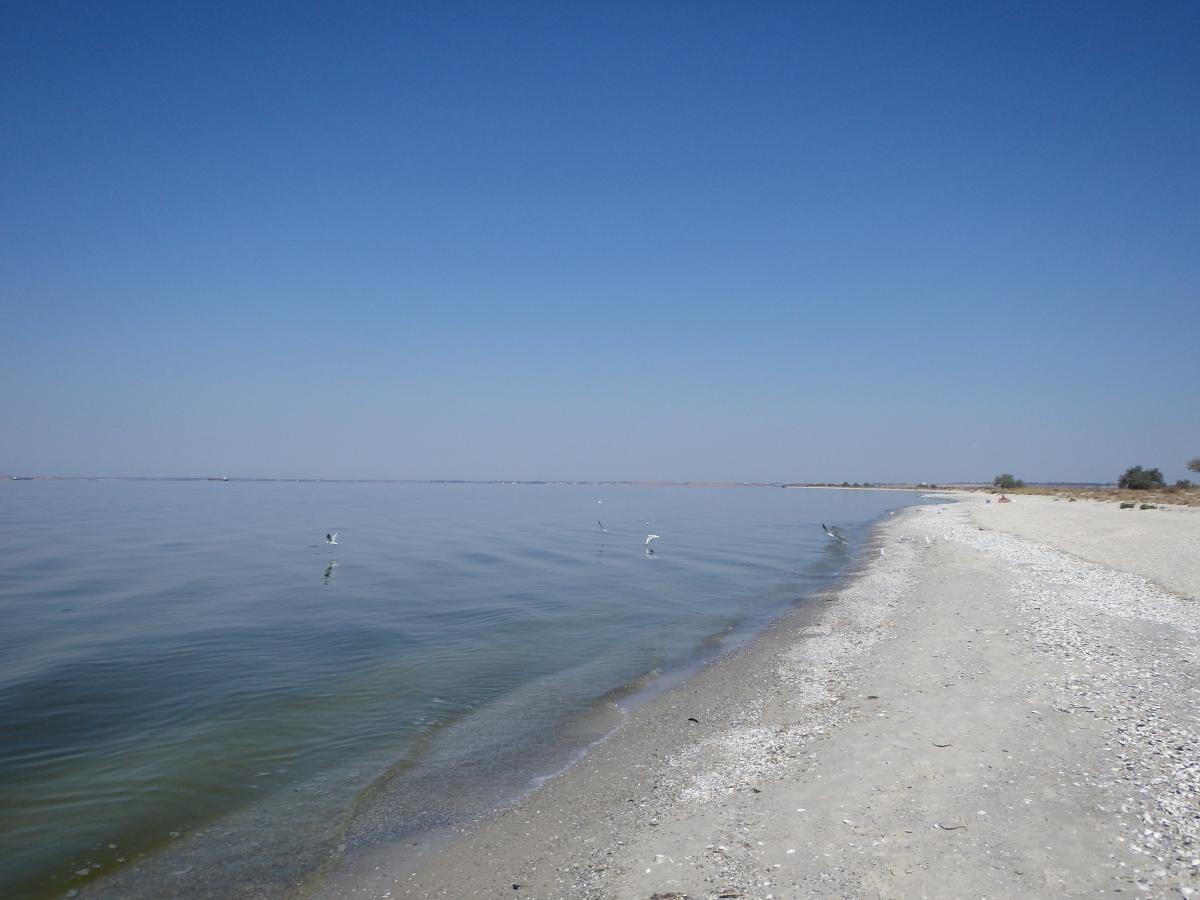 Кінбурнська коса має стратегічне значення для наступу ЗСУ / фото УНІАН, Юрій Куликов