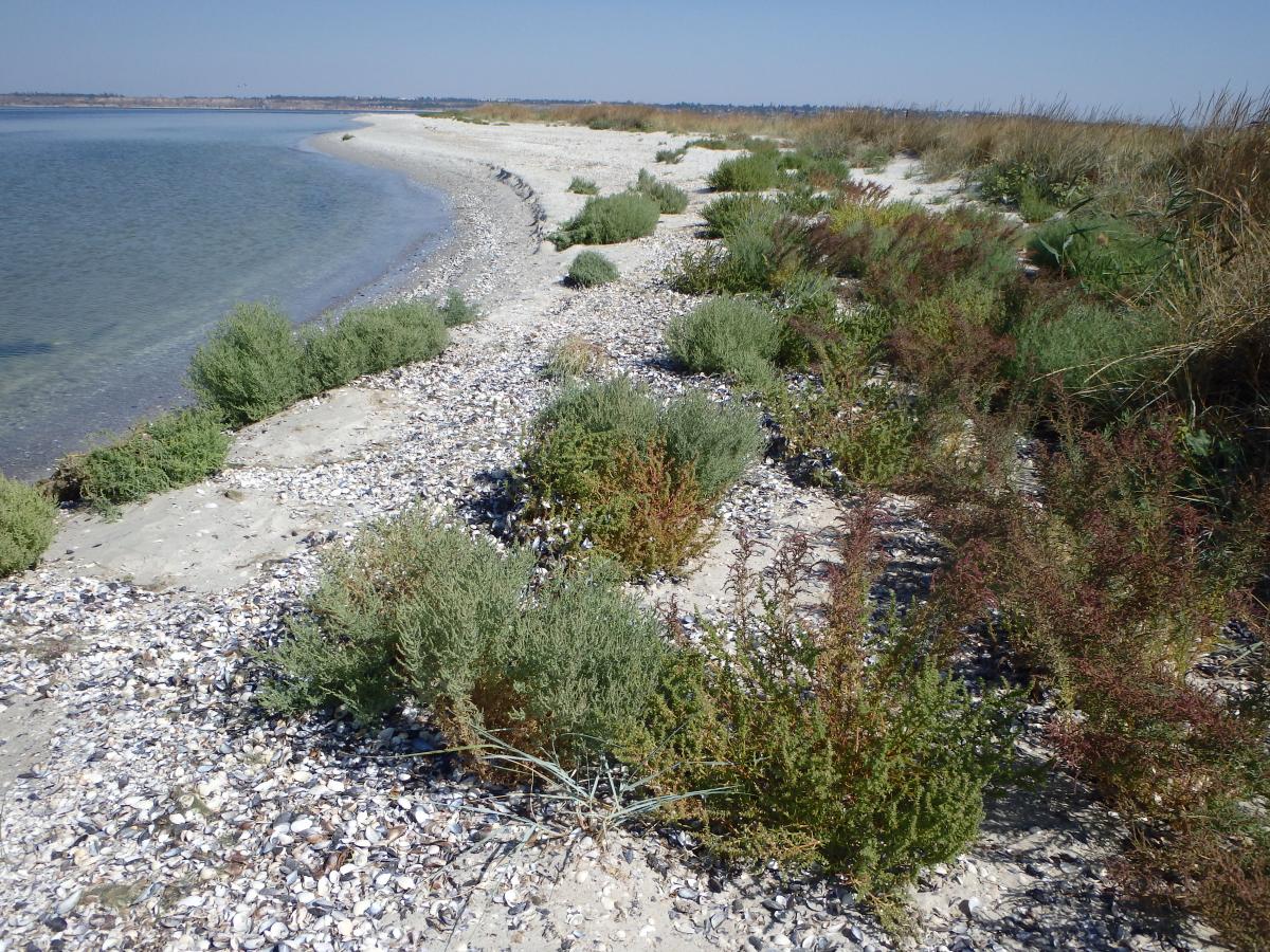 Братчук розповів, навіщо окупантам Кінбурнська коса / фото УНІАН, Юрій Куліков