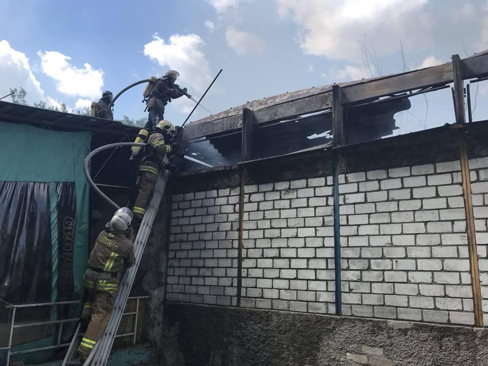 Пожар в Гидропарке / Фото dsns.gov.ua Пожар в Гидропарке / Фото dsns.gov.ua