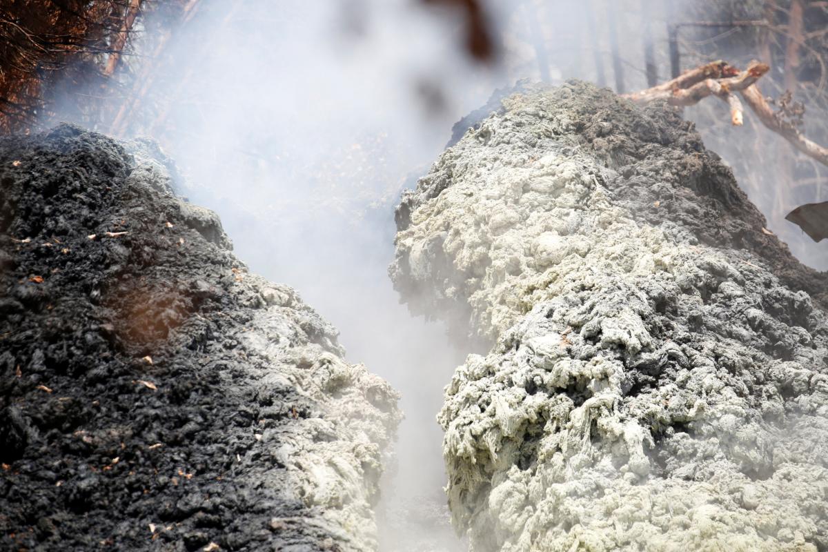 Иллюстрация / REUTERS