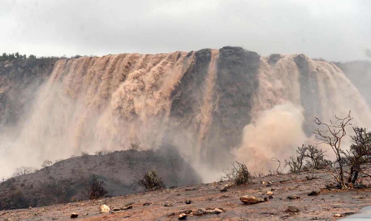 Иллюстрация / REUTERS